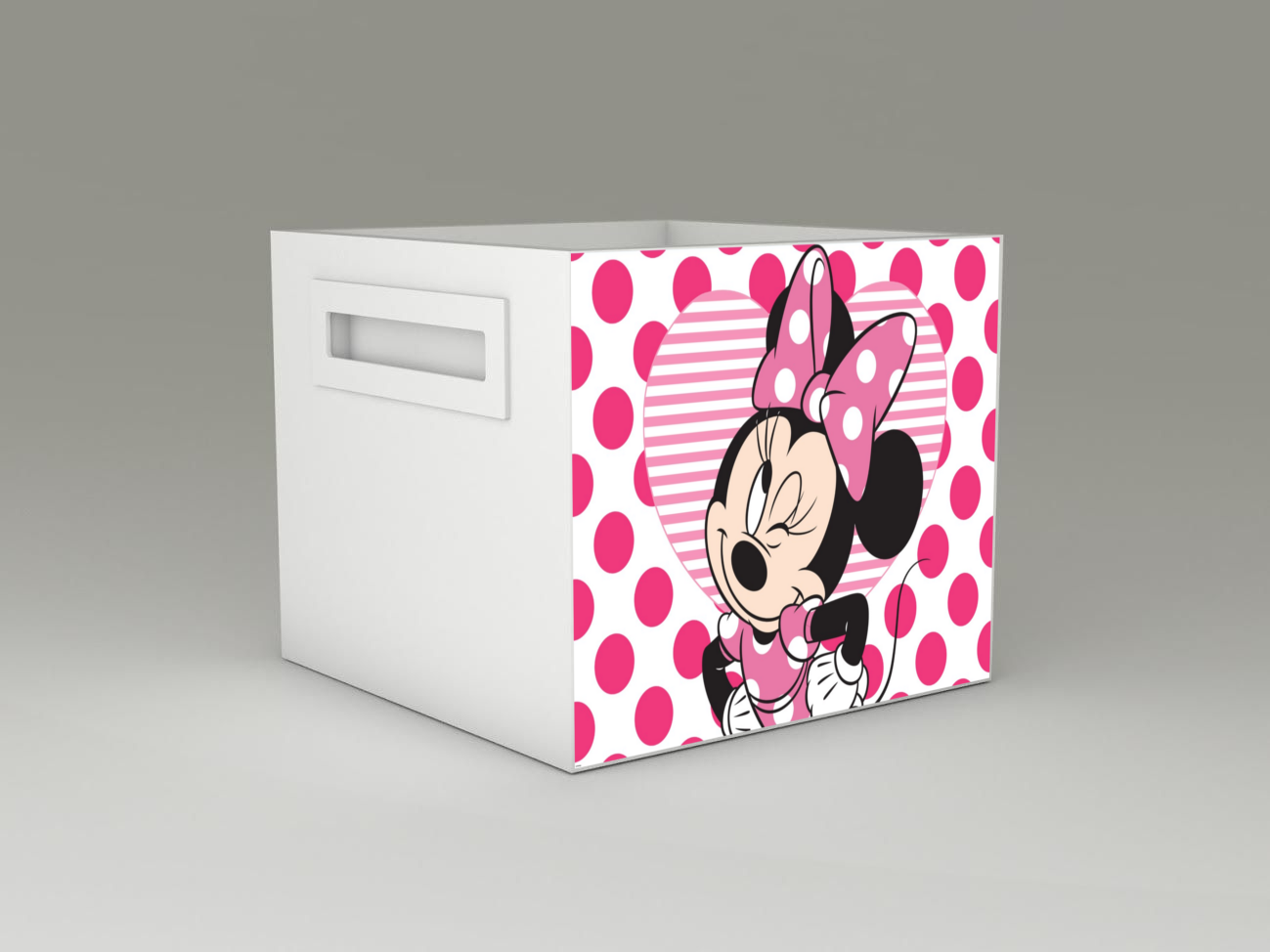 Becks úložný box Minnie4